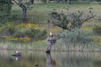 Embalse de Portaje